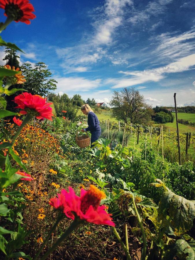 Landhaus Schaller Im Suedburgenland Maria Bild Екстер'єр фото